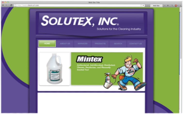 website 1