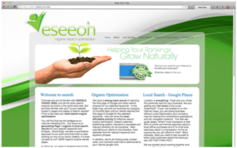 website 2