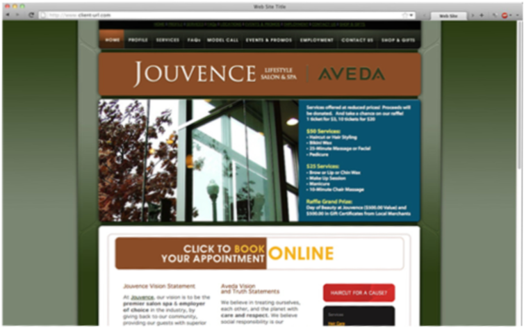 website 1