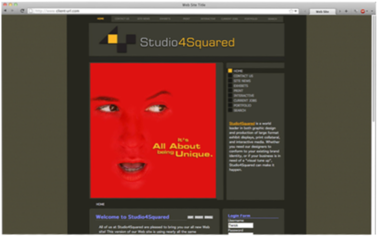 website 2