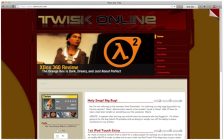 website 1